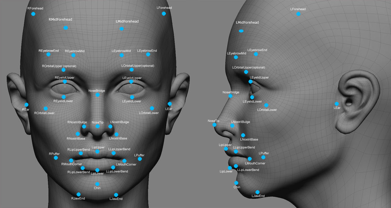 facial recognition points.jpg