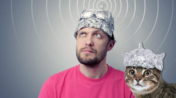 tinfoil-hat-and-tinfoil-cat.jpg