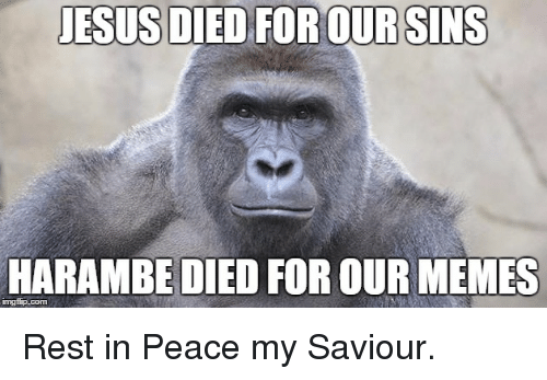 jesus-died-for-our-sins-harambe-died-for-our-memes-3195190.png