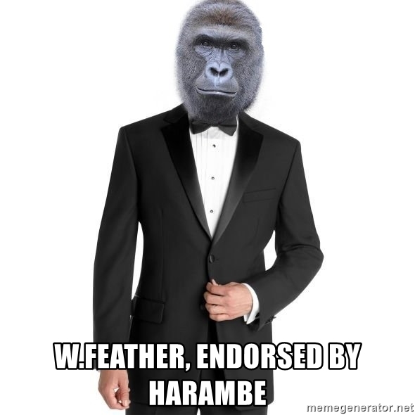 wfeather-endorsed-by-harambe.jpg