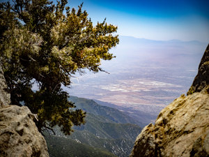 Cucamonga Peak-11.jpg