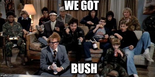 we got bush.jpg