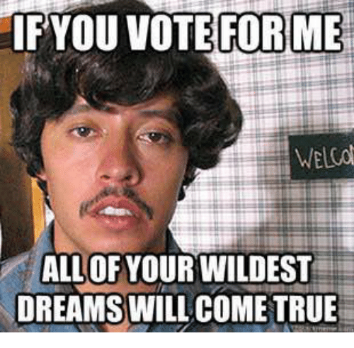 tfyou-vote-for-me-all-of-your-wildest-dreams-will-31195315.png