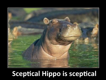 Sceptical-Hippo.jpg