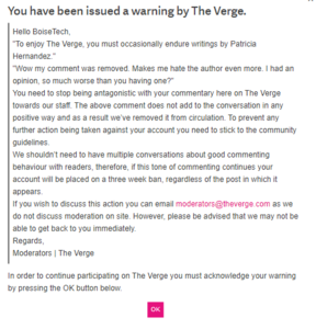 TheVerge.png