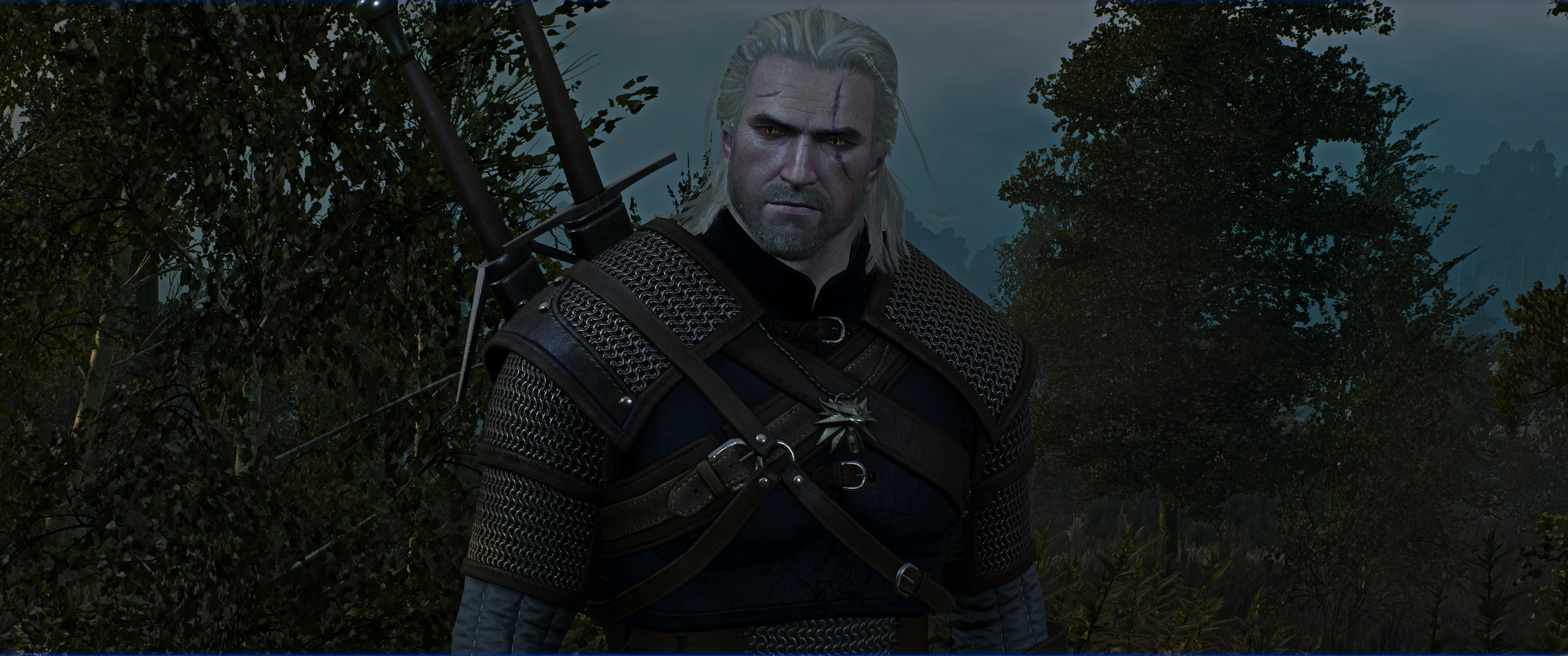 The Witcher 3 Screenshot 2019.01.02 - 20.04.33.48.png