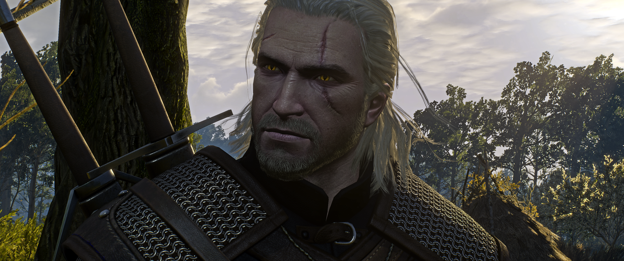 The Witcher 3 Screenshot 2019.01.02 - 20.33.49.16.png