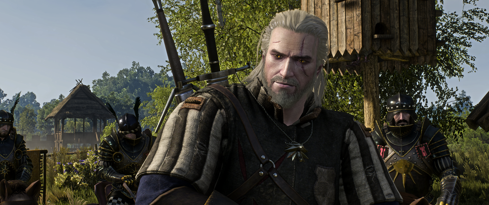 The Witcher 3 Screenshot 2019.01.02 - 22.49.24.19.png