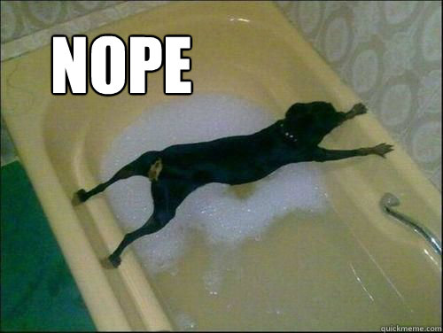 know-your-meme-dog-bath-nope.jpg