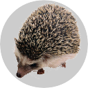 Badge_Hedgehog.png