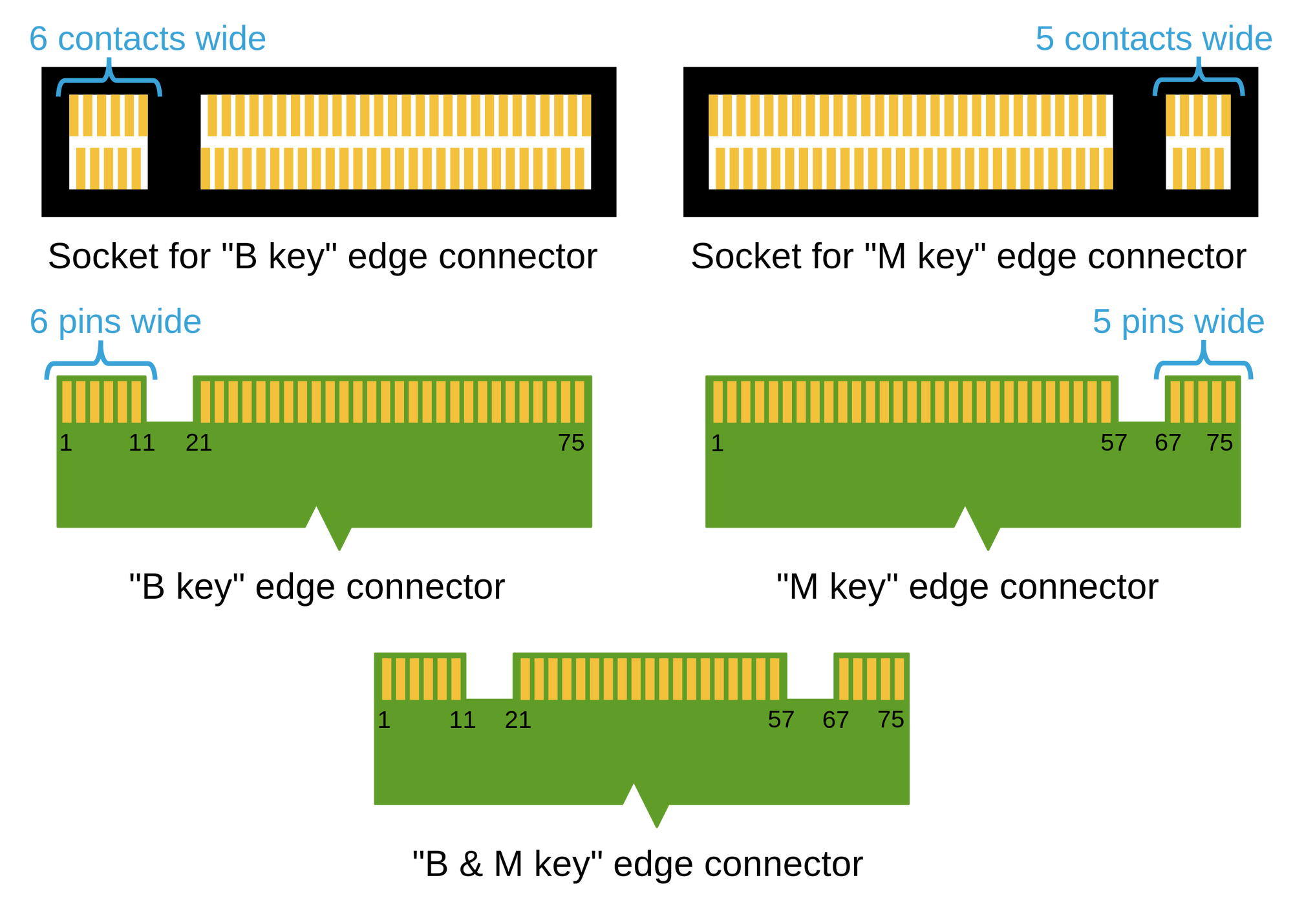 2560px-M2_Edge_Connector_Keying.svg.png