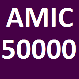 amic_50000.png