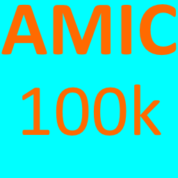 amic_100000.png