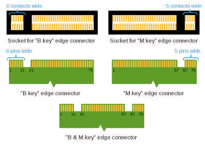 M2_Edge_Connector.png