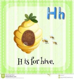 flashcard-letter-h-hive-illustration-61017517.jpg