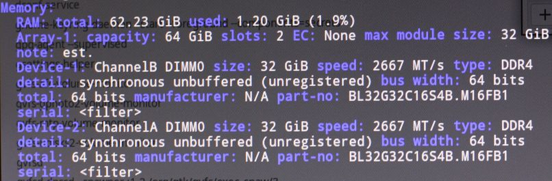 linux-manjaro-memory-detail.JPG