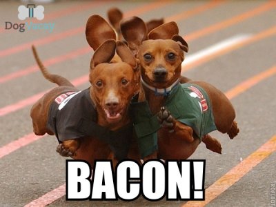 Bacon-Meme-2.jpg