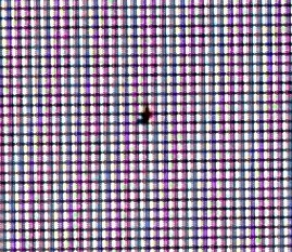 FV43U dead pixel.jpg