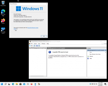 VirtualBox_Windows 11 Beta_24_06_2021_12_11_54.png