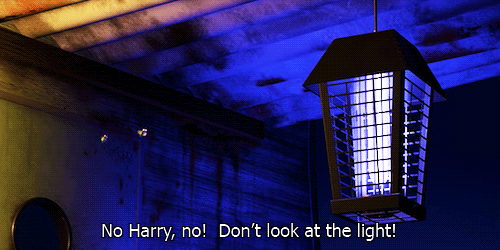 dont.go.into.the.light.harry_1.gif