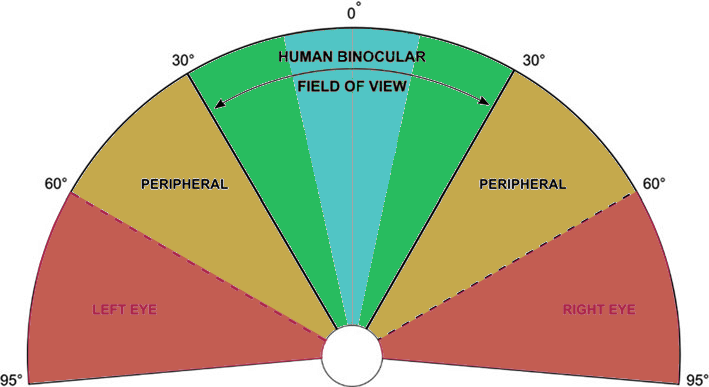 Field-of-view-comparisons-The-field-of-vision-of-a-human-showing-the-binocular.png