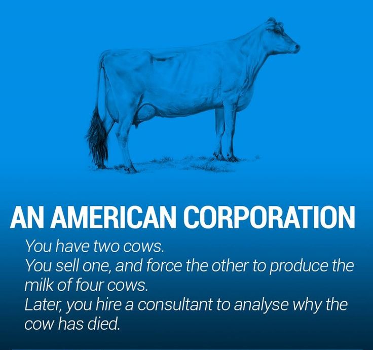 The world economy explained with just two cows.jpeg